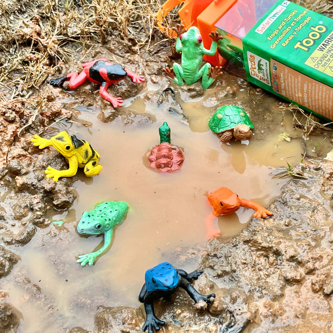 Safari Ltd Frogs and Turtles Toob